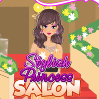 Stylish Princess Salon