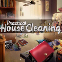 Practical House Cleaning