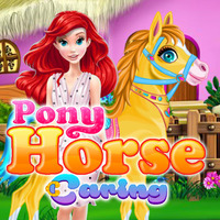 Pony Horse Caring