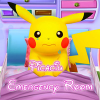Picaciu Emergency Room