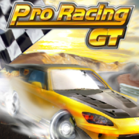 Pro Racing GT