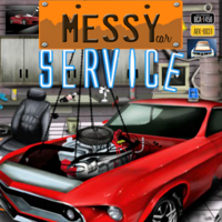 Messy Car Service