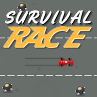 Survival Race